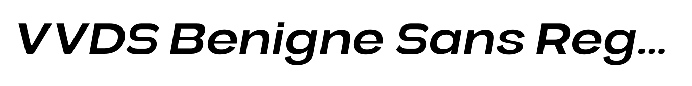 VVDS Benigne Sans Regular Italic